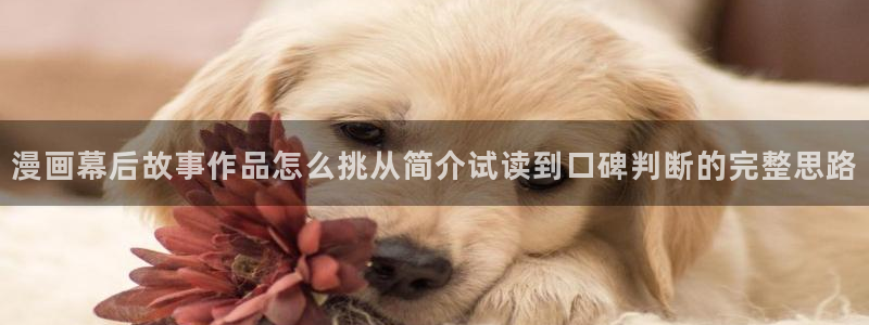 漫画岛好漫画推荐:漫画幕后故事作品怎么挑从简介试读到口碑判断的完整思路
