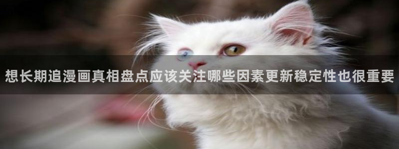 漫画岛漫画列表：想长期追漫画真相盘点应该关注哪些因素更新稳定性也很重要