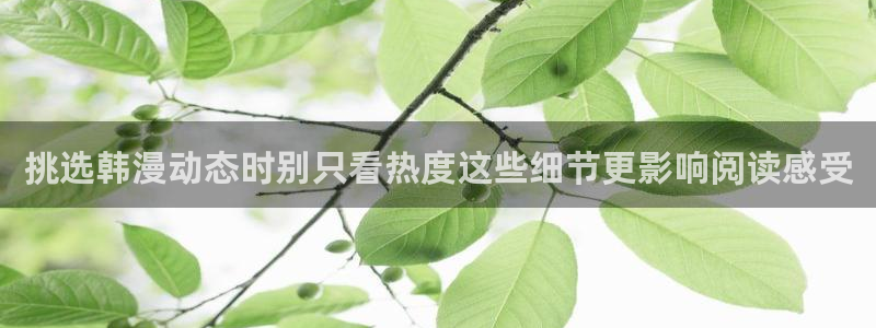 漫画岛网页入口导航：挑选韩漫动态时别只看热度这些细节更影响阅读感受
