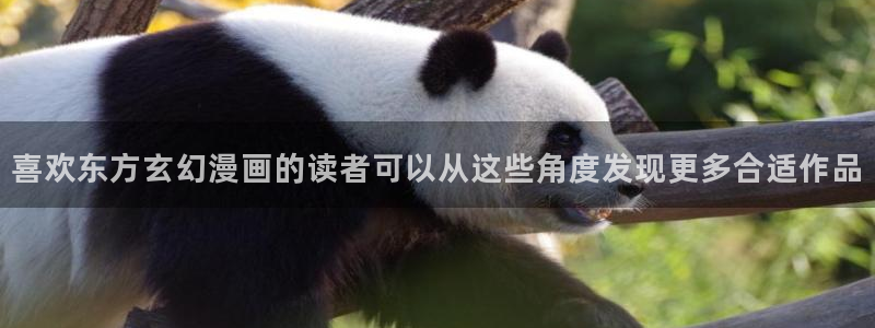 漫画岛网页入口：喜欢东方玄幻漫画的读者可以从这些角度发现更多合适作品