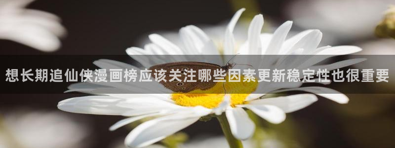 漫画岛在线阅读导航：想长期追仙侠漫画榜应该关注哪些因素更新稳定性也很重要